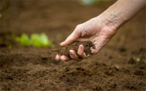 איזוטופ בע"מ בדיקות בטון ומערכות בניין